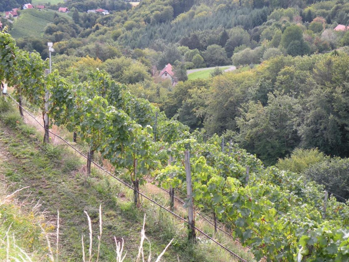 Weingut Albert, Familie Cramer Bed and Breakfast Kitzeck im Sausal Buitenkant foto