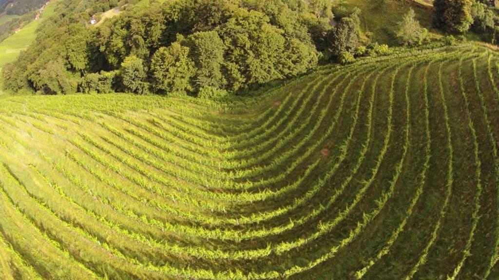 Weingut Albert, Familie Cramer Bed and Breakfast Kitzeck im Sausal Buitenkant foto