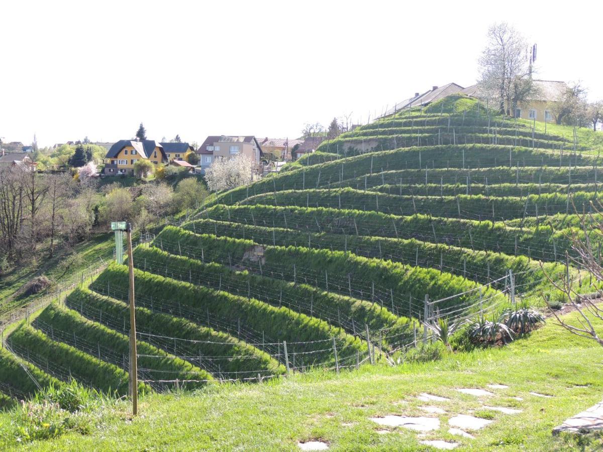 Weingut Albert, Familie Cramer Bed and Breakfast Kitzeck im Sausal Buitenkant foto