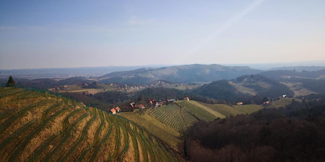 Weingut Albert, Familie Cramer Bed and Breakfast Kitzeck im Sausal Buitenkant foto