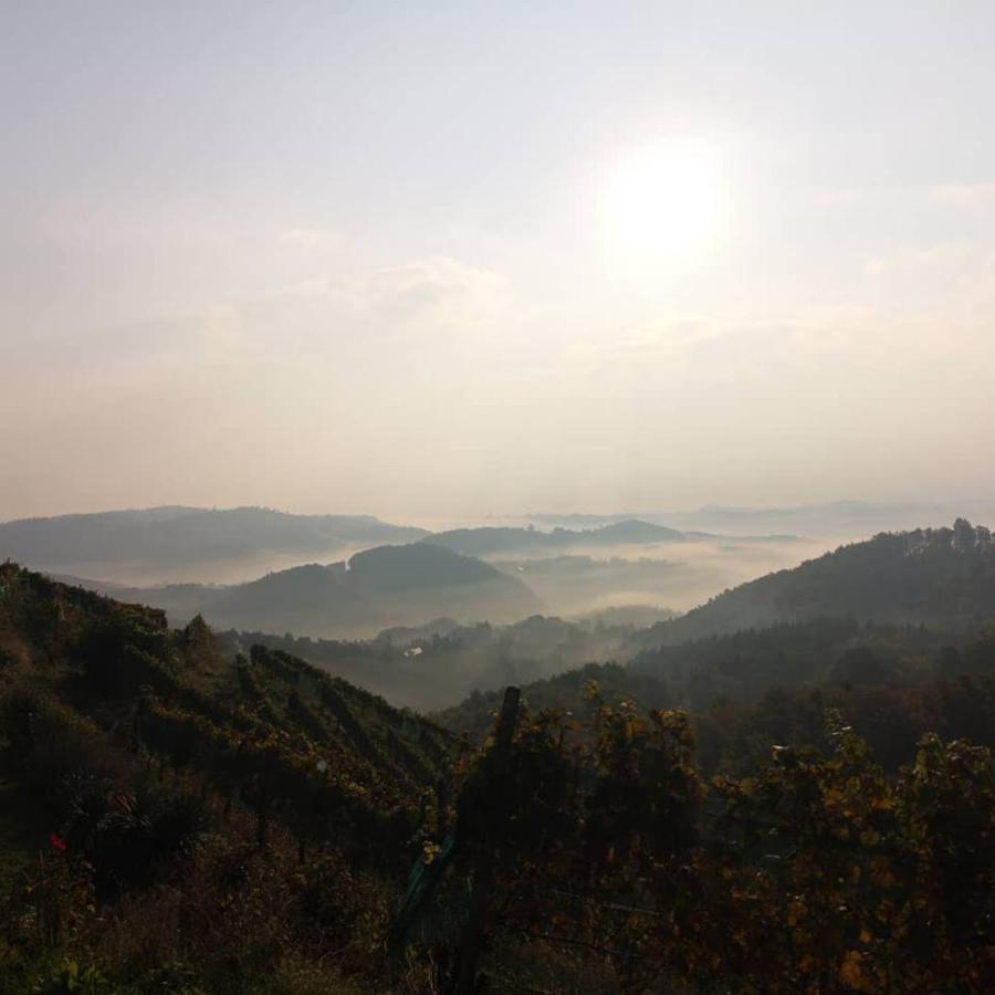 Weingut Albert, Familie Cramer Bed and Breakfast Kitzeck im Sausal Buitenkant foto