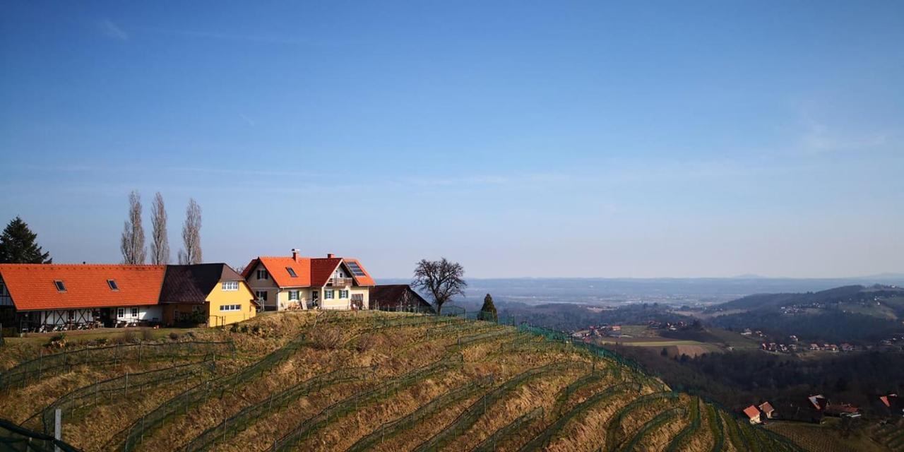 Weingut Albert, Familie Cramer Bed and Breakfast Kitzeck im Sausal Buitenkant foto