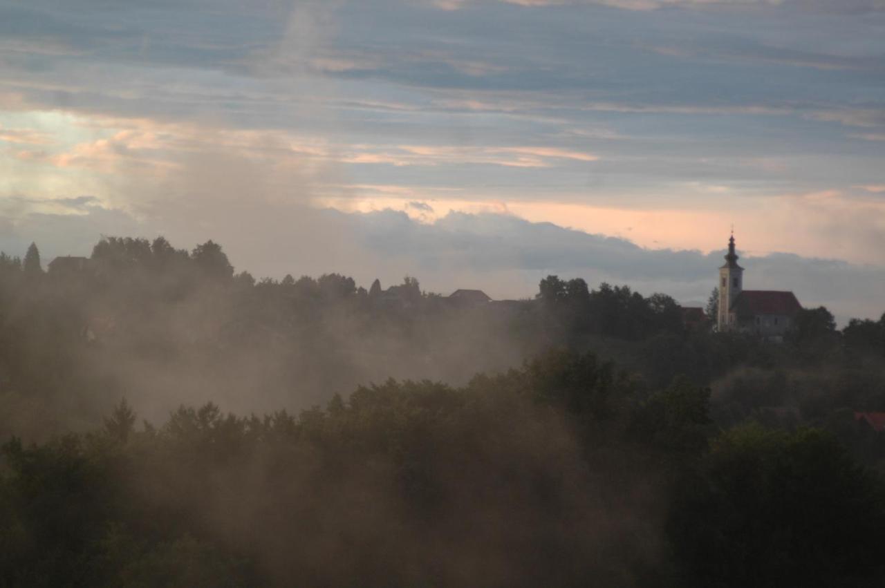 Weingut Albert, Familie Cramer Bed and Breakfast Kitzeck im Sausal Buitenkant foto