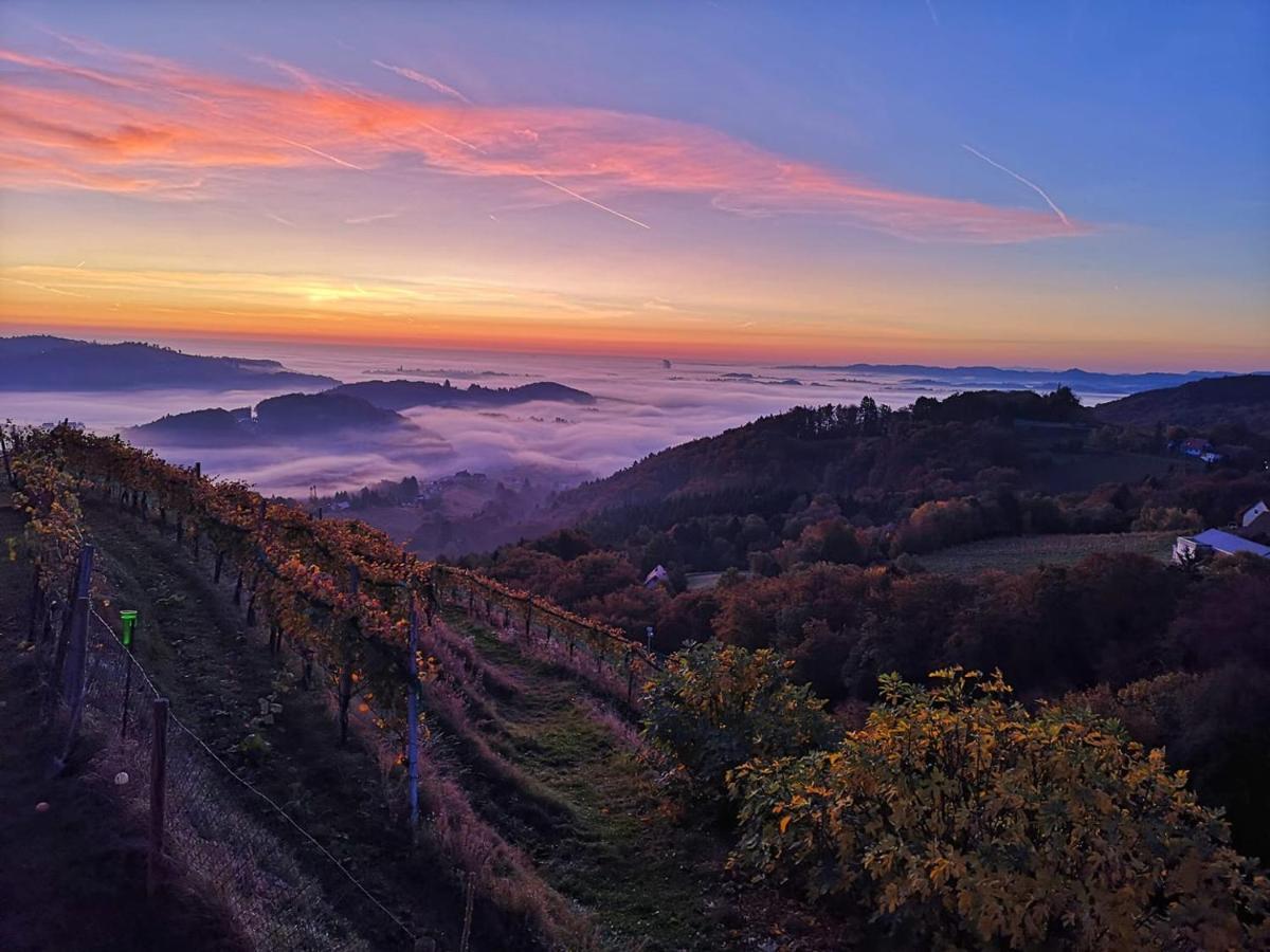 Weingut Albert, Familie Cramer Bed and Breakfast Kitzeck im Sausal Buitenkant foto