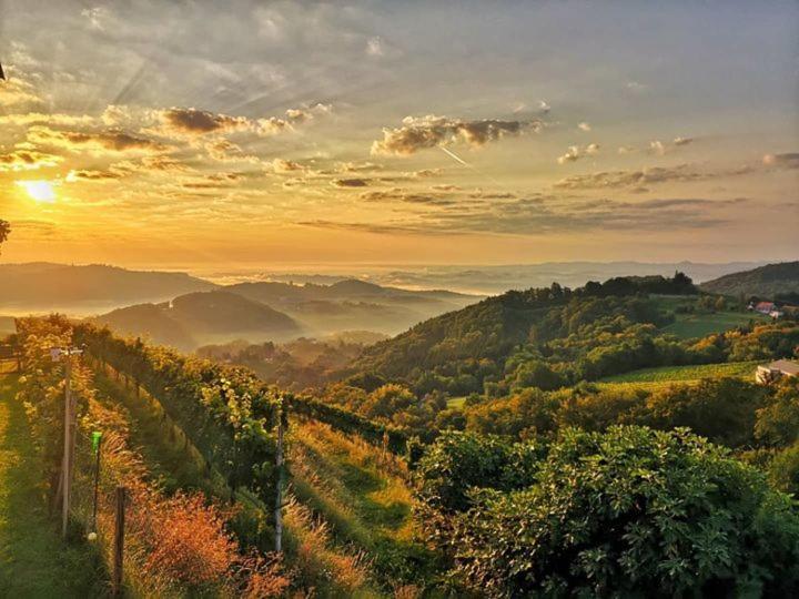 Weingut Albert, Familie Cramer Bed and Breakfast Kitzeck im Sausal Buitenkant foto